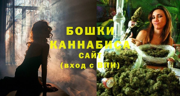 PSILOCYBIN Баксан