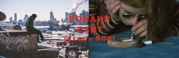PSILOCYBIN Баксан