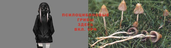 тгк Балахна