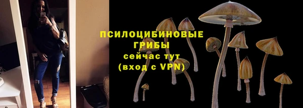 прущие грибы Семикаракорск