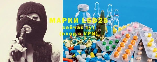PSILOCYBIN Баксан