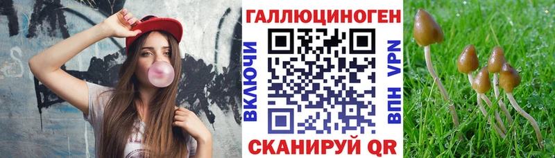 Галлюциногенные грибы MAGIC MUSHROOMS  дарнет шоп  Губкинский 